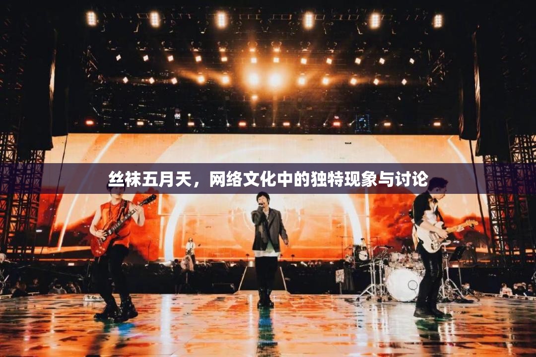 絲襪五月天，網(wǎng)絡(luò)文化中的獨(dú)特現(xiàn)象與討論