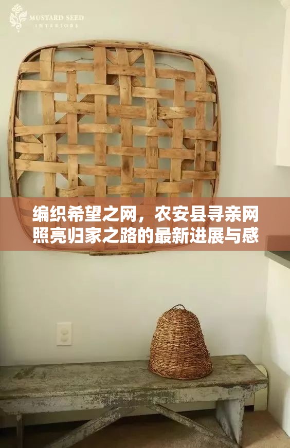 編織希望之網(wǎng)，農(nóng)安縣尋親網(wǎng)照亮歸家之路的最新進(jìn)展與感人故事