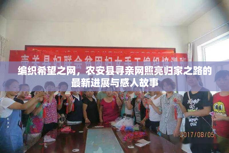 編織希望之網(wǎng)，農(nóng)安縣尋親網(wǎng)照亮歸家之路的最新進(jìn)展與感人故事