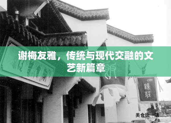 謝梅友雅，傳統(tǒng)與現(xiàn)代交融的文藝新篇章