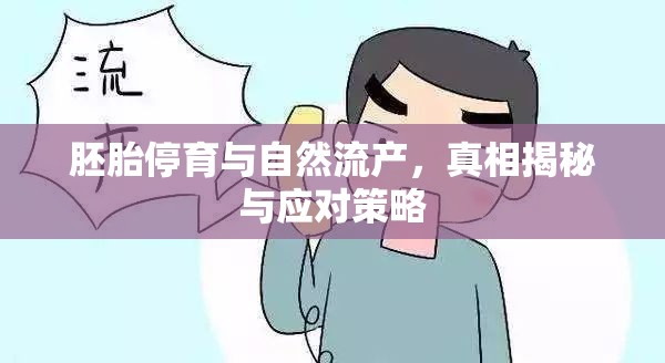 胚胎停育與自然流產(chǎn)，真相揭秘與應(yīng)對策略