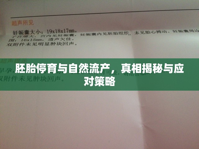 胚胎停育與自然流產(chǎn)，真相揭秘與應(yīng)對策略