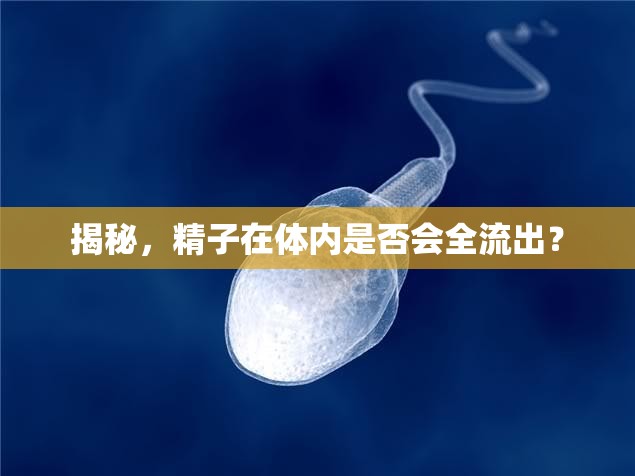 揭秘，精子在體內是否會全流出？