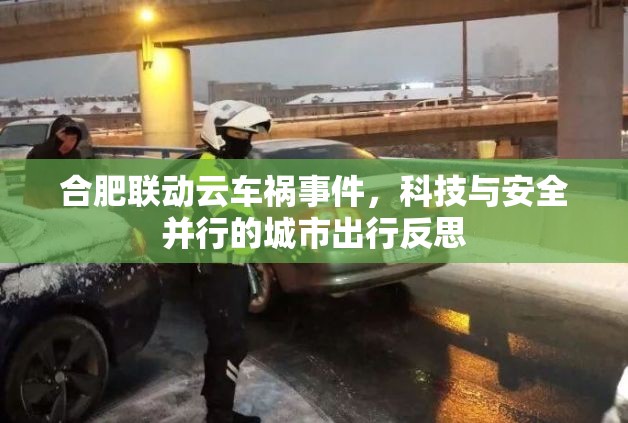 合肥聯(lián)動(dòng)云車(chē)禍?zhǔn)录萍寂c安全并行的城市出行反思