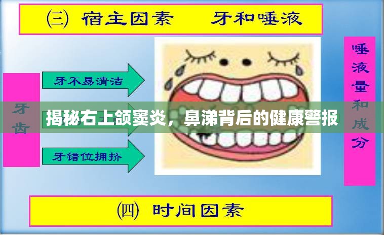 揭秘右上頜竇炎，鼻涕背后的健康警報(bào)