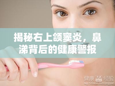 揭秘右上頜竇炎，鼻涕背后的健康警報(bào)