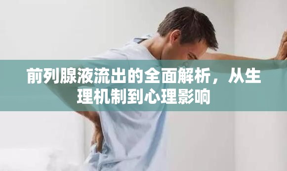 前列腺液流出的全面解析，從生理機制到心理影響