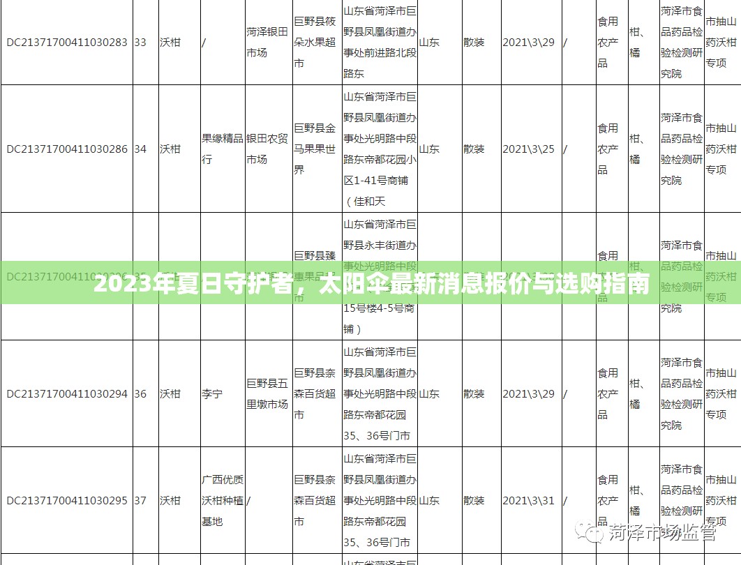 2023年夏日守護者，太陽傘最新消息報價與選購指南