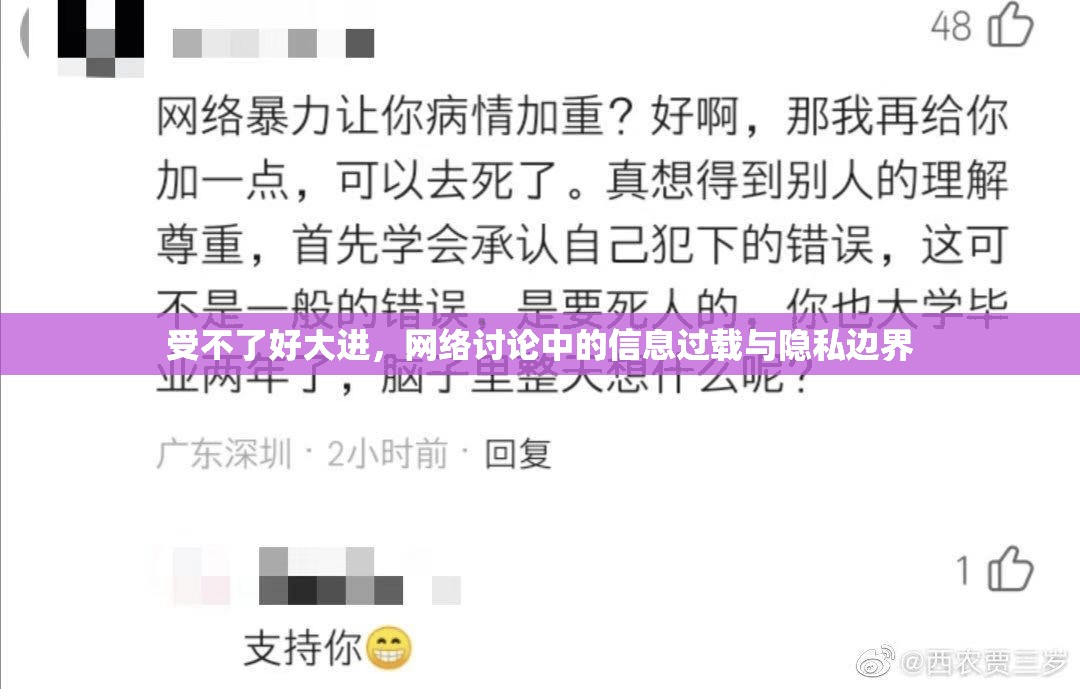 受不了好大進(jìn)，網(wǎng)絡(luò)討論中的信息過(guò)載與隱私邊界