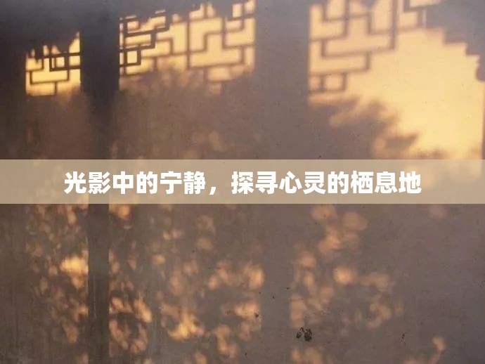 光影中的寧靜，探尋心靈的棲息地