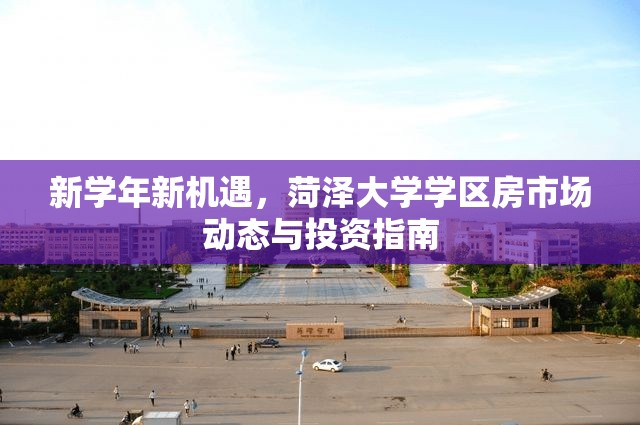 新學(xué)年新機(jī)遇，菏澤大學(xué)學(xué)區(qū)房市場動態(tài)與投資指南