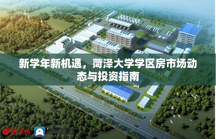 新學(xué)年新機(jī)遇，菏澤大學(xué)學(xué)區(qū)房市場動態(tài)與投資指南