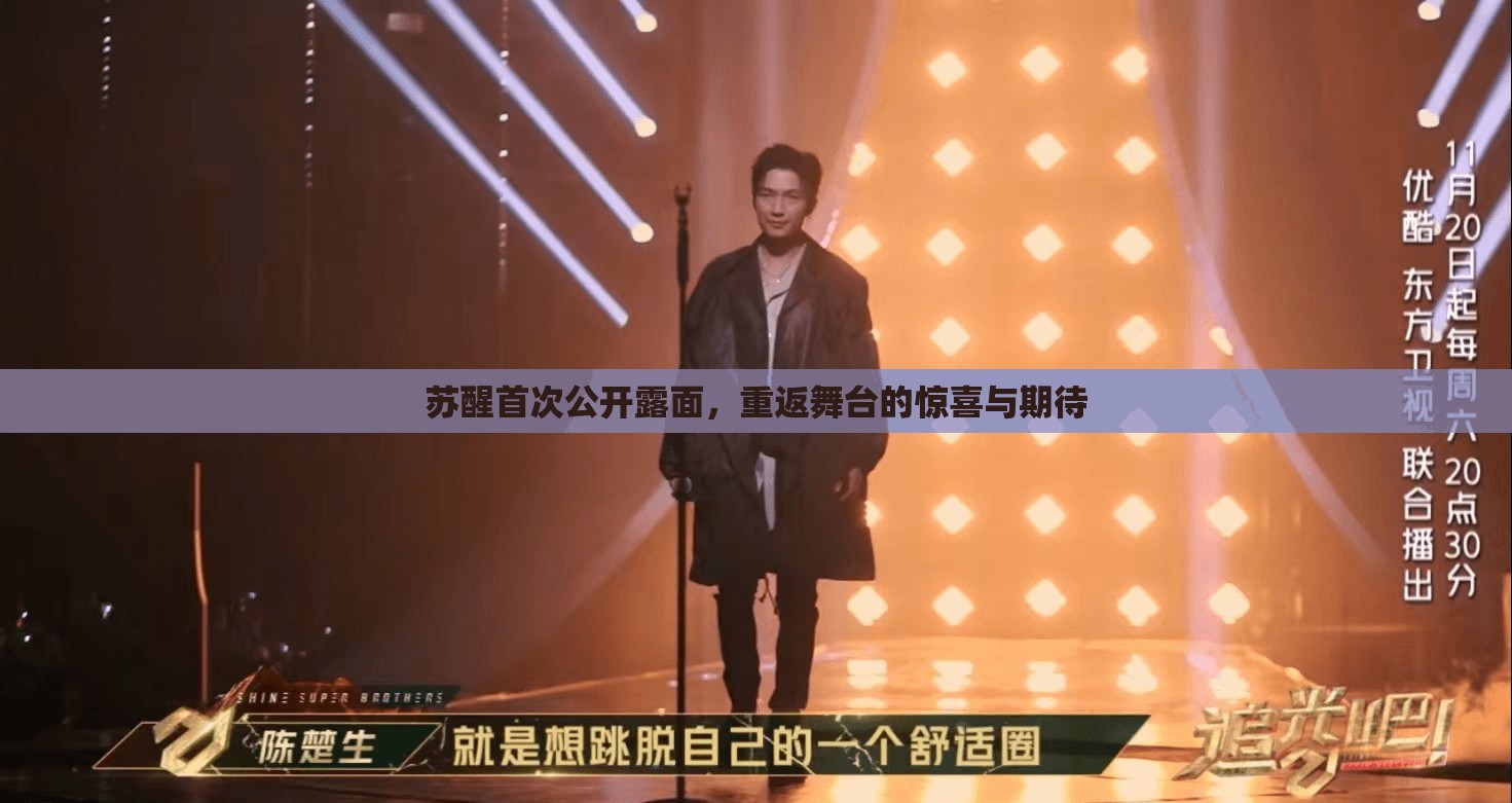 蘇醒首次公開露面，重返舞臺(tái)的驚喜與期待