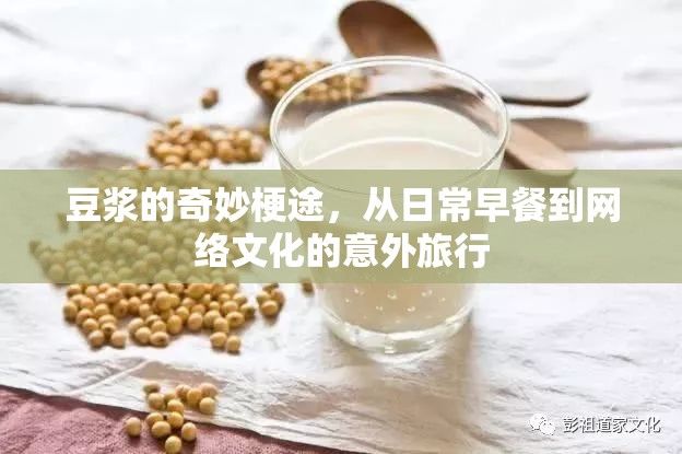 豆?jié){的奇妙梗途，從日常早餐到網(wǎng)絡文化的意外旅行