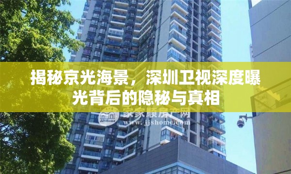 揭秘京光海景，深圳衛(wèi)視深度曝光背后的隱秘與真相