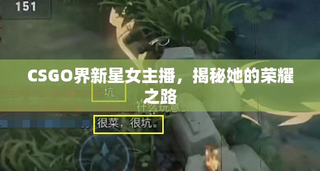 CSGO界新星女主播，揭秘她的榮耀之路
