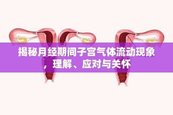 揭秘月經(jīng)期間子宮氣體流動(dòng)現(xiàn)象，理解、應(yīng)對(duì)與關(guān)懷