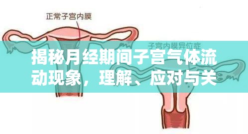 揭秘月經(jīng)期間子宮氣體流動(dòng)現(xiàn)象，理解、應(yīng)對(duì)與關(guān)懷