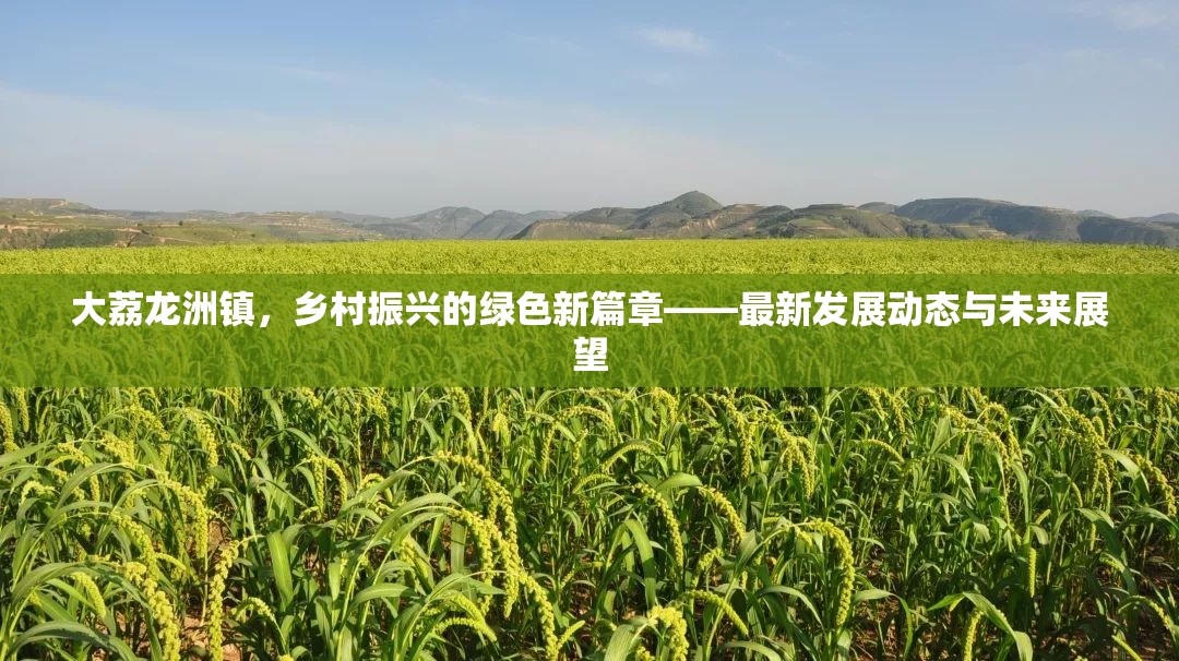 大荔龍洲鎮(zhèn)，鄉(xiāng)村振興的綠色新篇章——最新發(fā)展動態(tài)與未來展望