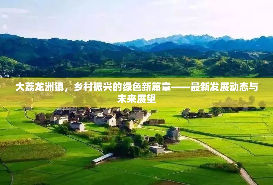 大荔龍洲鎮(zhèn)，鄉(xiāng)村振興的綠色新篇章——最新發(fā)展動態(tài)與未來展望