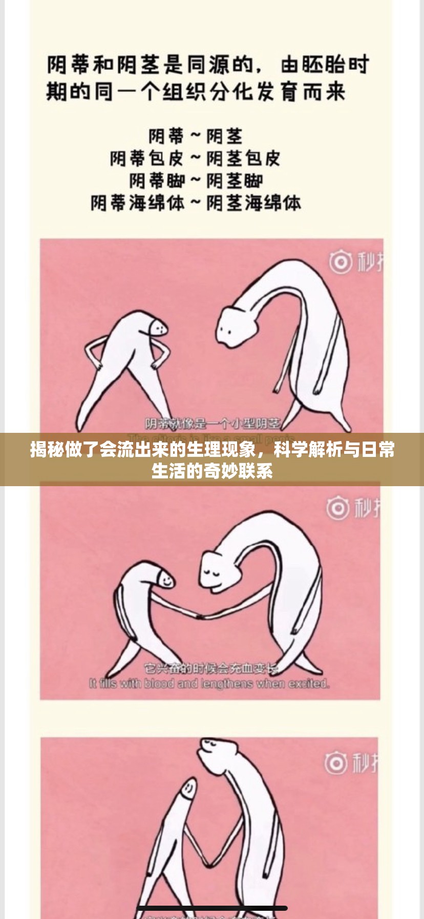揭秘做了會(huì)流出來(lái)的生理現(xiàn)象，科學(xué)解析與日常生活的奇妙聯(lián)系