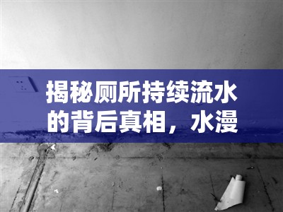 揭秘廁所持續(xù)流水的背后真相，水漫金山的真正原因