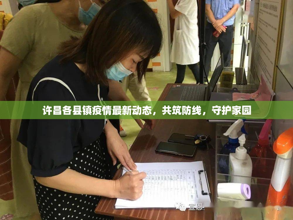 許昌各縣鎮(zhèn)疫情最新動態(tài)，共筑防線，守護家園