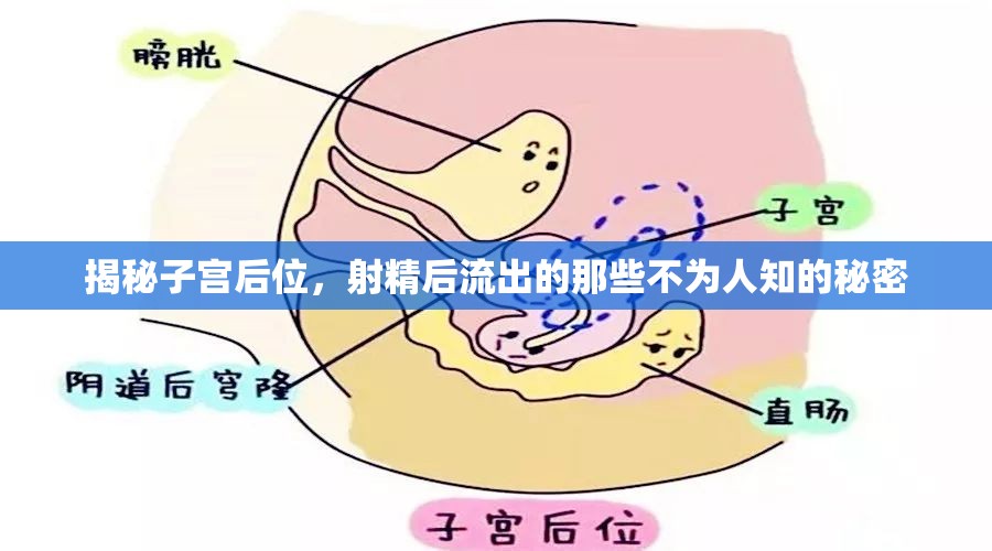 揭秘子宮后位，射精后流出的那些不為人知的秘密