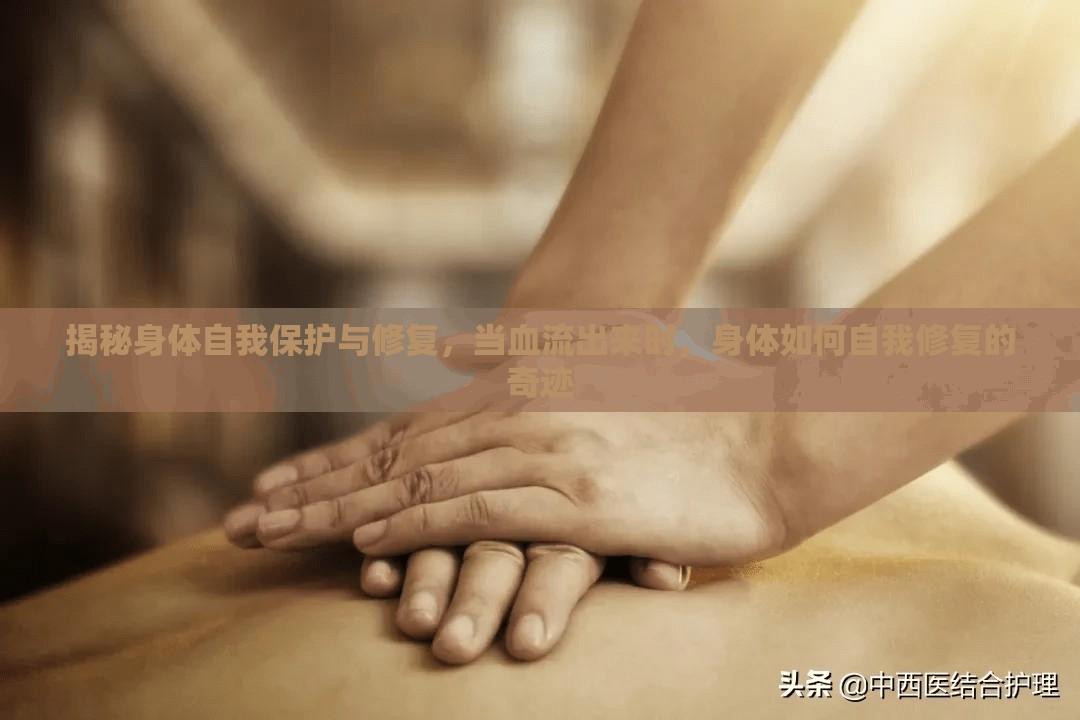 揭秘身體自我保護(hù)與修復(fù)，當(dāng)血流出來時，身體如何自我修復(fù)的奇跡