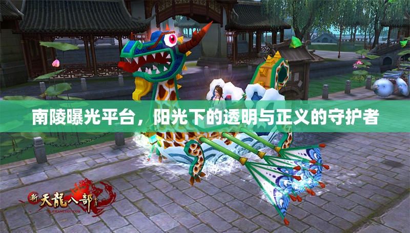 南陵曝光平臺(tái)，陽光下的透明與正義的守護(hù)者