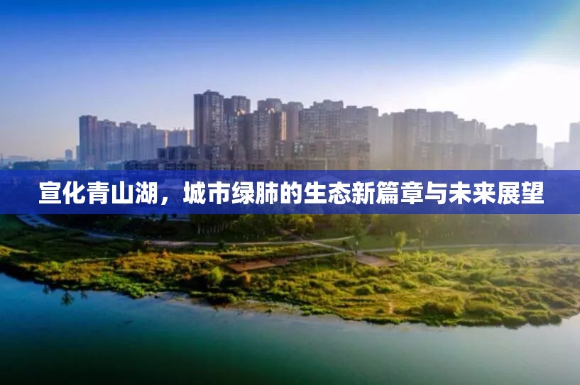 宣化青山湖，城市綠肺的生態(tài)新篇章與未來展望
