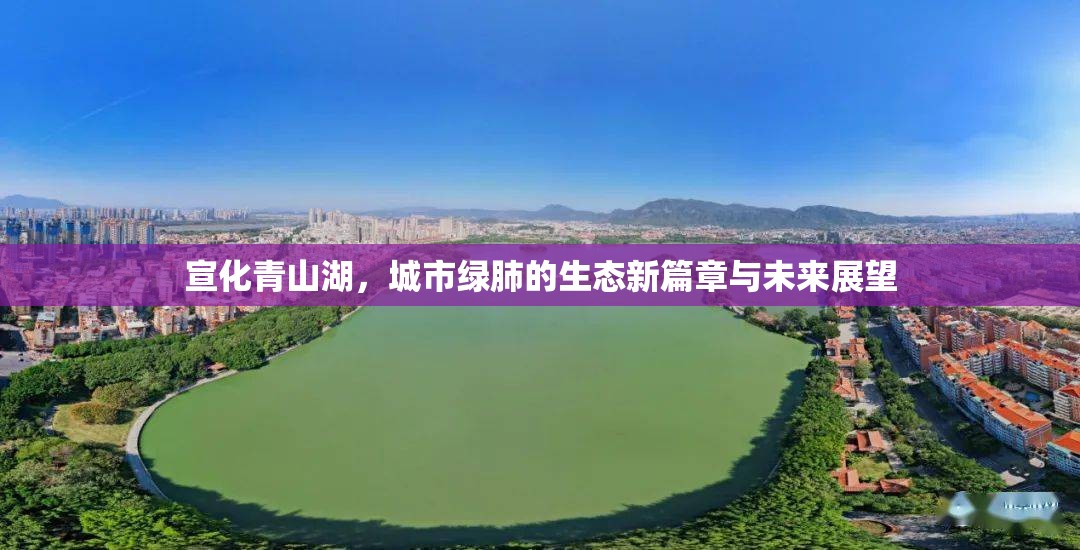 宣化青山湖，城市綠肺的生態(tài)新篇章與未來展望