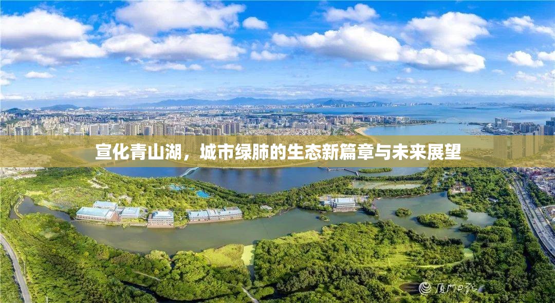 宣化青山湖，城市綠肺的生態(tài)新篇章與未來展望