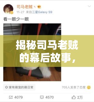 揭秘司馬老賊的幕后故事，電競?cè)Φ碾[秘真相