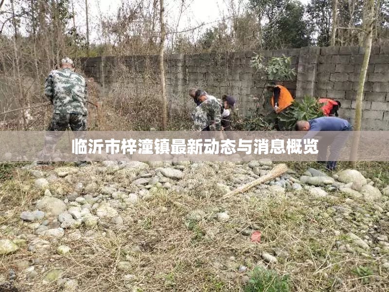 臨沂市梓潼鎮(zhèn)最新動(dòng)態(tài)與消息概覽