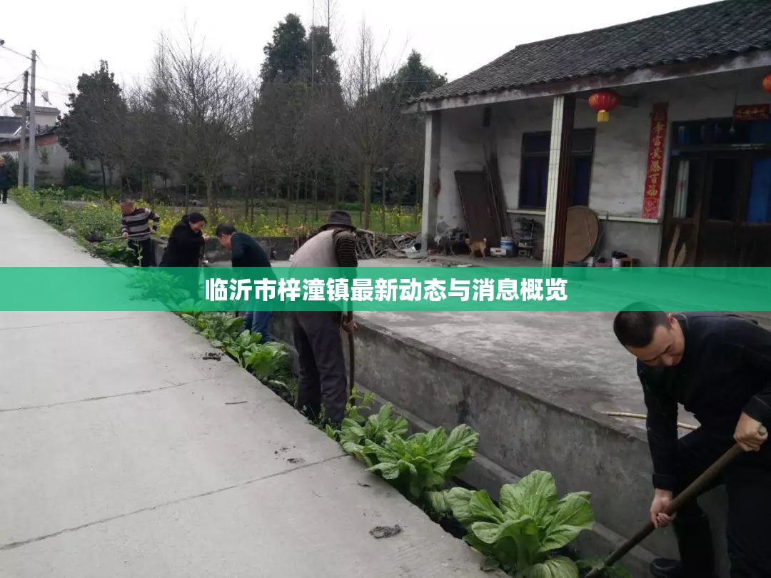 臨沂市梓潼鎮(zhèn)最新動(dòng)態(tài)與消息概覽
