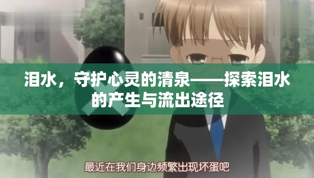 淚水，守護心靈的清泉——探索淚水的產(chǎn)生與流出途徑