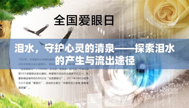 淚水，守護心靈的清泉——探索淚水的產(chǎn)生與流出途徑