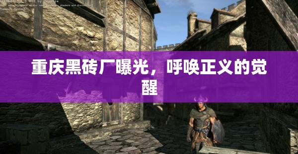 重慶黑磚廠曝光，呼喚正義的覺醒
