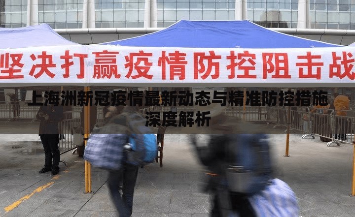 上海洲新冠疫情最新動態(tài)與精準(zhǔn)防控措施深度解析