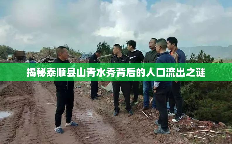 揭秘泰順縣山青水秀背后的人口流出之謎