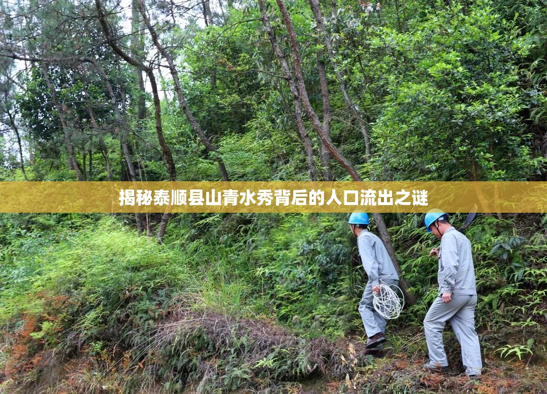 揭秘泰順縣山青水秀背后的人口流出之謎
