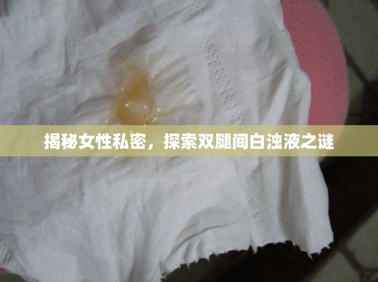 揭秘女性私密，探索雙腿間白濁液之謎