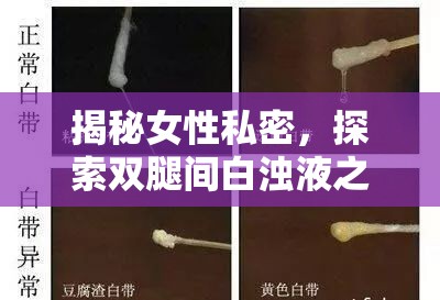 揭秘女性私密，探索雙腿間白濁液之謎