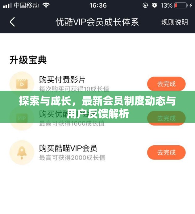 探索與成長，最新會員制度動態(tài)與用戶反饋解析