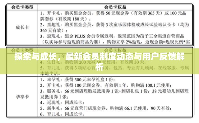探索與成長，最新會員制度動態(tài)與用戶反饋解析