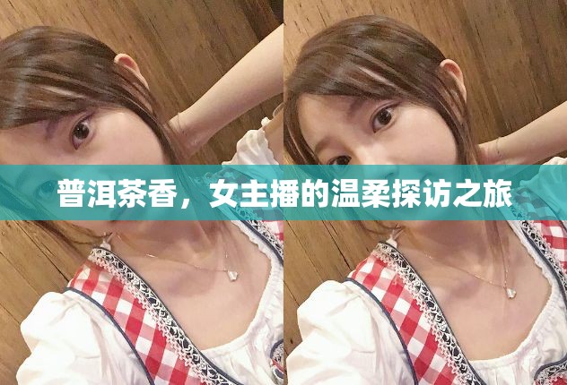普洱茶香，女主播的溫柔探訪之旅