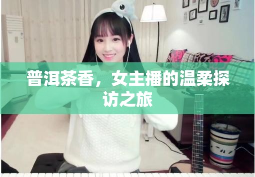 普洱茶香，女主播的溫柔探訪之旅