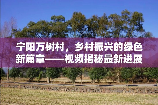 寧陽萬樹村，鄉(xiāng)村振興的綠色新篇章——視頻揭秘最新進展