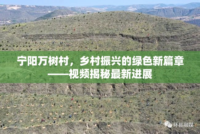 寧陽萬樹村，鄉(xiāng)村振興的綠色新篇章——視頻揭秘最新進展